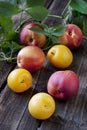 Nectarines and plums on wooden table in a rustic style Royalty Free Stock Photo