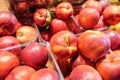 Nectarines for sell at the city market Royalty Free Stock Photo