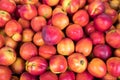 Nectarines for sell at the city market Royalty Free Stock Photo