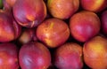 Nectarines for sell at the city market Royalty Free Stock Photo