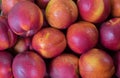 Nectarines for sell at the city market Royalty Free Stock Photo