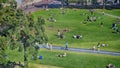 NEDERLAND, AMSTERDAM - AUGUST 8, 2019: people relax in nature on green grass in the park, top view