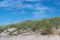 Nederlandse groene duinen Royalty Free Stock Photo