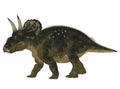 Nedoceratops