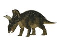 Nedoceratops