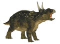 Nedoceratops