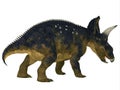 Nedoceratops Dinosaur Tail