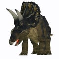 Nedoceratops on White