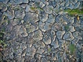 Need Rain cracked dry soil Royalty Free Stock Photo