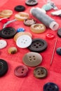Needle with buttons Royalty Free Stock Photo