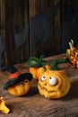 Needle felted pumpkin jack