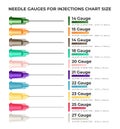 Needle gauges for injections chart size - infographic elements with different types of hypodermic needles isolated on