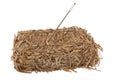 Needle in a hay bale