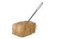 Needle in haystack Royalty Free Stock Photo