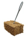 Needle In A Haystack Royalty Free Stock Photo