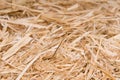Needle in a haystack symbol of something hard to find Royalty Free Stock Photo