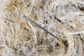 Needle in a haystack Royalty Free Stock Photo