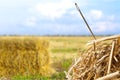 Needle in a Haystack Royalty Free Stock Photo