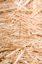 Needle in a haystack symbol of something hard to find Royalty Free Stock Photo