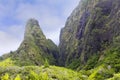 The Needle in Iao Valley