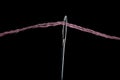 Needle with a large needle eye with wool thread on a black background. Close-up Royalty Free Stock Photo