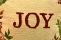 Needle-point embroidery of the word JOY. Framed by leaves