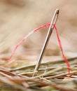 Needle with a red thread Royalty Free Stock Photo