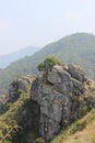 Needle Rock View Point, Gudalur, Nilgiris, Tamilnadu, coimbatore