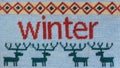 Needlepoint Winter Background