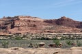 Needles District