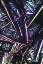 Needles and feathers in abstract micrograph of glycine with polariztion Royalty Free Stock Photo