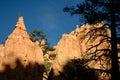 Needles peak showing in to the lights Royalty Free Stock Photo