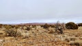 Needless District - Canyonlands National Park - Utah