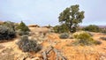 Needless District - Canyonlands National Park - Utah