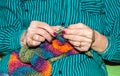 Hands of old woman holding knitting needles and multi colored wool for woolwork of warm sweater for cold winter days close up sele Royalty Free Stock Photo