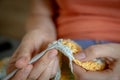 Needlework. Women`s hands close up crocheting children`s plaid. Crochet hook Royalty Free Stock Photo