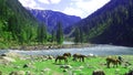 Neelum Valley Kashmir Pakistan Royalty Free Stock Photo