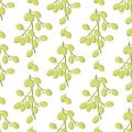 Neem. Color seamless pattern with fruits.