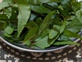 Neem leaf is used for leprosy, eye disorders, bloody nose,