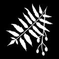 Neem or nimtree. Ayurvedic Herb. isolated logo icon. white silhouette. Vector
