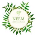 Neem Round Circle badge. leaf branch, flowers and pods. Ayurveda Herb template