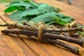 neem twig on wooden table,beautiful neem twig and green leaves,wooden table on ayurvedic neem,herbal neem on wooden,neem Royalty Free Stock Photo