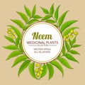 Neem vector frame