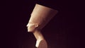 Nefertiti African Queen Ancient Egyptian Woman Young Princess Side View