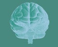 Negative engraving brain in front view on green BG