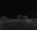 A negative image of field in black and white.
