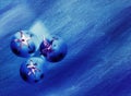 Negative image of 3 ocean blue tomatoes on a textured background Royalty Free Stock Photo