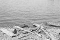 Abstract background of dead driftwood on stony beach