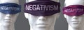 Negativism can blind our views and limit perspective - pictured as word Negativism on eyes to symbolize that Negativism can