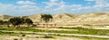 Negev Desert in early spring, Israel Royalty Free Stock Photo